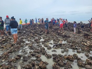 Los lugareños llegaron hasta la
