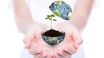 Día Internacional de la Madre Tierra: origen, propósito y evolución de una fecha clave para la conciencia ambiental mundial