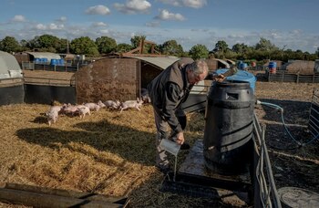 En Gran Bretaña, la escasez