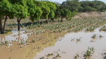 En respuesta a esta crisis,