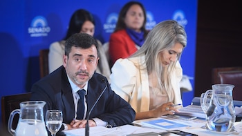 Reforma política: a diferencia de la Casa Rosada, un senador oficialista dijo que “no hay ninguna intención de tratar todo junto”