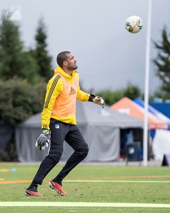 Después de dos semanas de