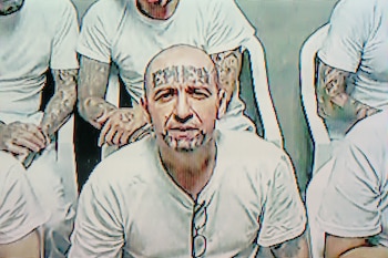 El Tribunal Sexto contra el Crimen Organizado avanza en el juicio contra 486 cabecillas de la MS-13 con abundante prueba documental y pericial. (Foto: FGR)