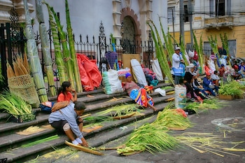 Personas venden ramos de palma previo a la celebración del Domingo de Ramos que da inicio a la Semana Santa en Tegucigalpa (Honduras).EFE/ Gustavo Amador