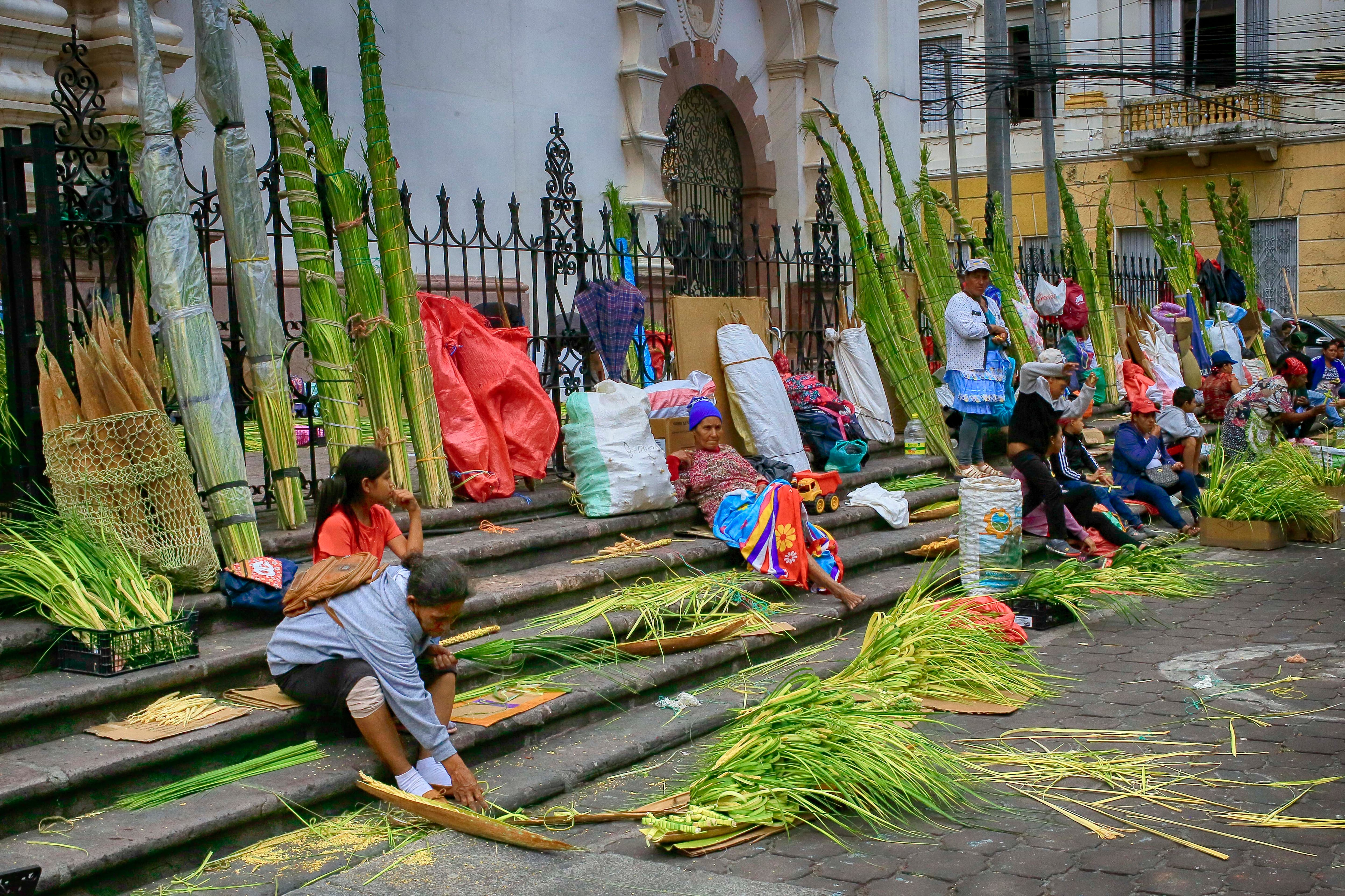Personas venden ramos de palma previo a la celebración del Domingo de Ramos que da inicio a la Semana Santa en Tegucigalpa (Honduras).EFE/ Gustavo Amador