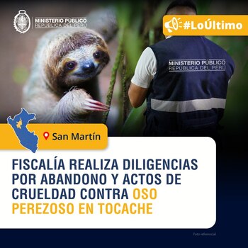 Fiscalía inicia diligencias por actos