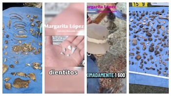 El campo de exterminio de niños con mil 600 dientes de leche: la fosa clandestina de Michoacán que cimbró hasta en el Senado