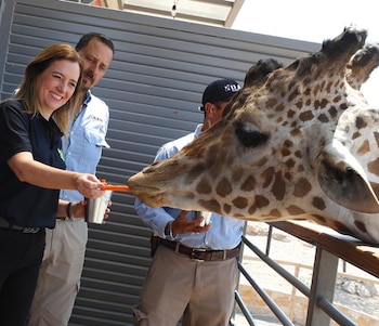 En el recién inaugurado hotel