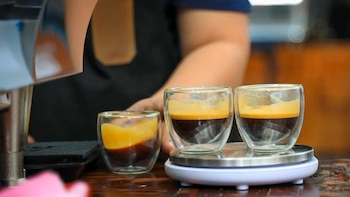 La recepción de muestras para el certamen inició bajo la coordinación del Instituto Salvadoreño del Café, permitiendo a los productores acceder a mercados globales y mejores precios a través de subastas internacionales organizadas por expertos del sector (Foto cortesía ISC)