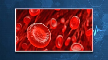 Los níveles de azúcar en