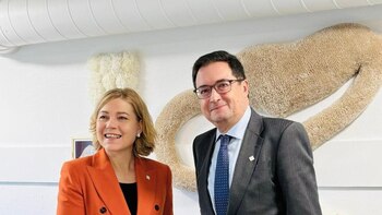 Bruselas anuncia seis nuevas gigafactorias