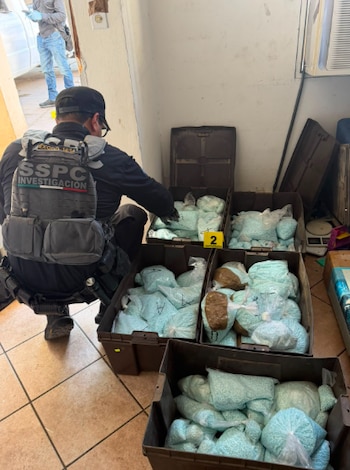 Lo equivalemnte a cuatro millones de dosis de fentabnilo fue lo ibcautado a Los Rusos, brazo armados del Cártel de Sinaloa, facción Los Mayos Foto: SSPC