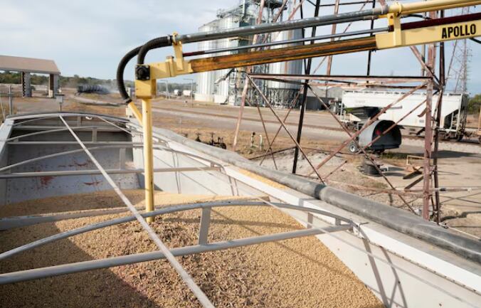 Respecto a la harina de soja, se prevé otra corrección significativa: una caída del 21% en 2025 y un descenso adicional del 4% en 2026 (Reuters)