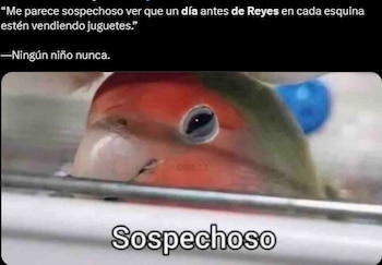 Memes por el día de