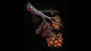 El impacto de la menopausia en las células mamarias y su relación con el cáncer, según la ciencia