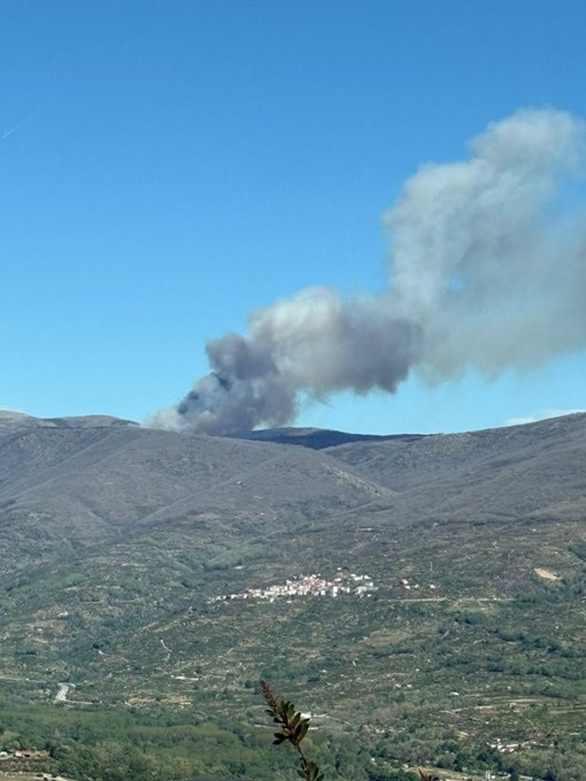 Declarado un incendio forestal en Piornal (Cáceres) sin riesgo para la población
