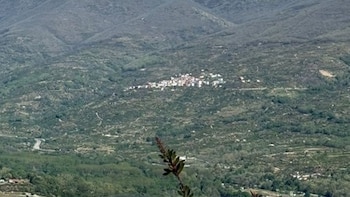 Declarado un incendio forestal en Piornal (Cáceres) sin riesgo para la población