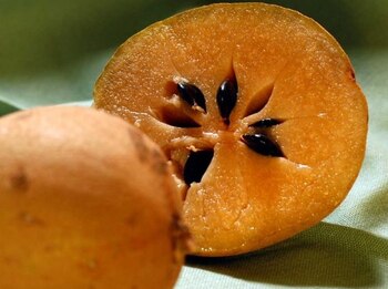 Esta fruta proviene del árbol