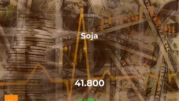 Cotización del Soja del 1