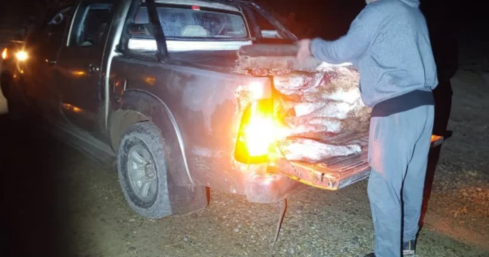 Un operativo de control en Puerto Deseado, Santa Cruz, incauta carnes de especies protegidas que eran transportadas en la caja de una camioneta Toyota por la noche (La Opinión Austral)