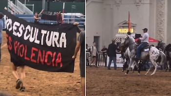 "No es cultura, es violencia"