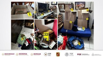 Lo asegurado podría pertenecer al