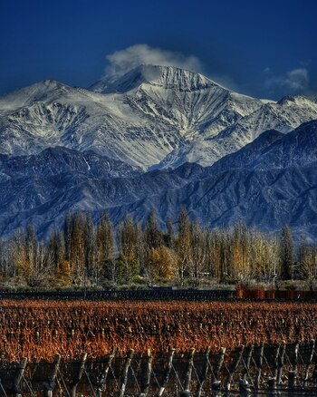 Fundada en 2002, Finca Victoria