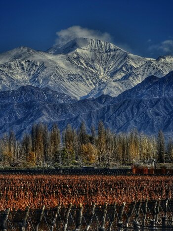 Fundada en 2002, Finca Victoria en Luján de Cuyo combina producción de vinos, turismo y hospitalidad con un enfoque sostenible y patrimonial