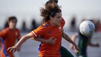 (Twitter: @FFCV_info)