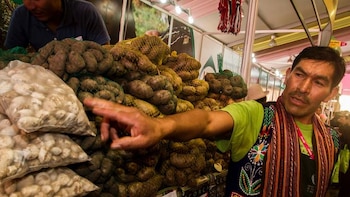 Canasta básica familiar: Papa amarilla, choclo y cebolla roja suben de precio poniendo en jaque a las amas de casa
