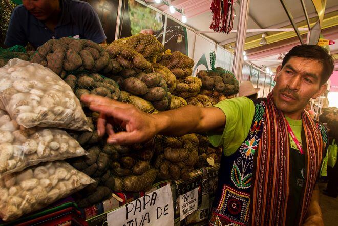 Canasta básica familiar: Papa amarilla, choclo y cebolla roja suben de precio poniendo en jaque a las amas de casa