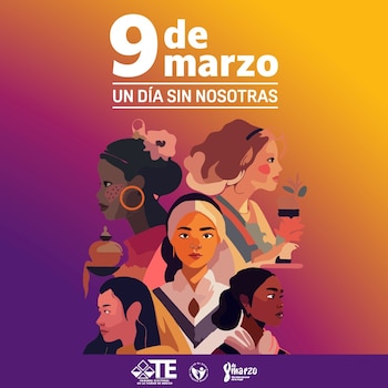 El Tribunal Electoral lanzó una