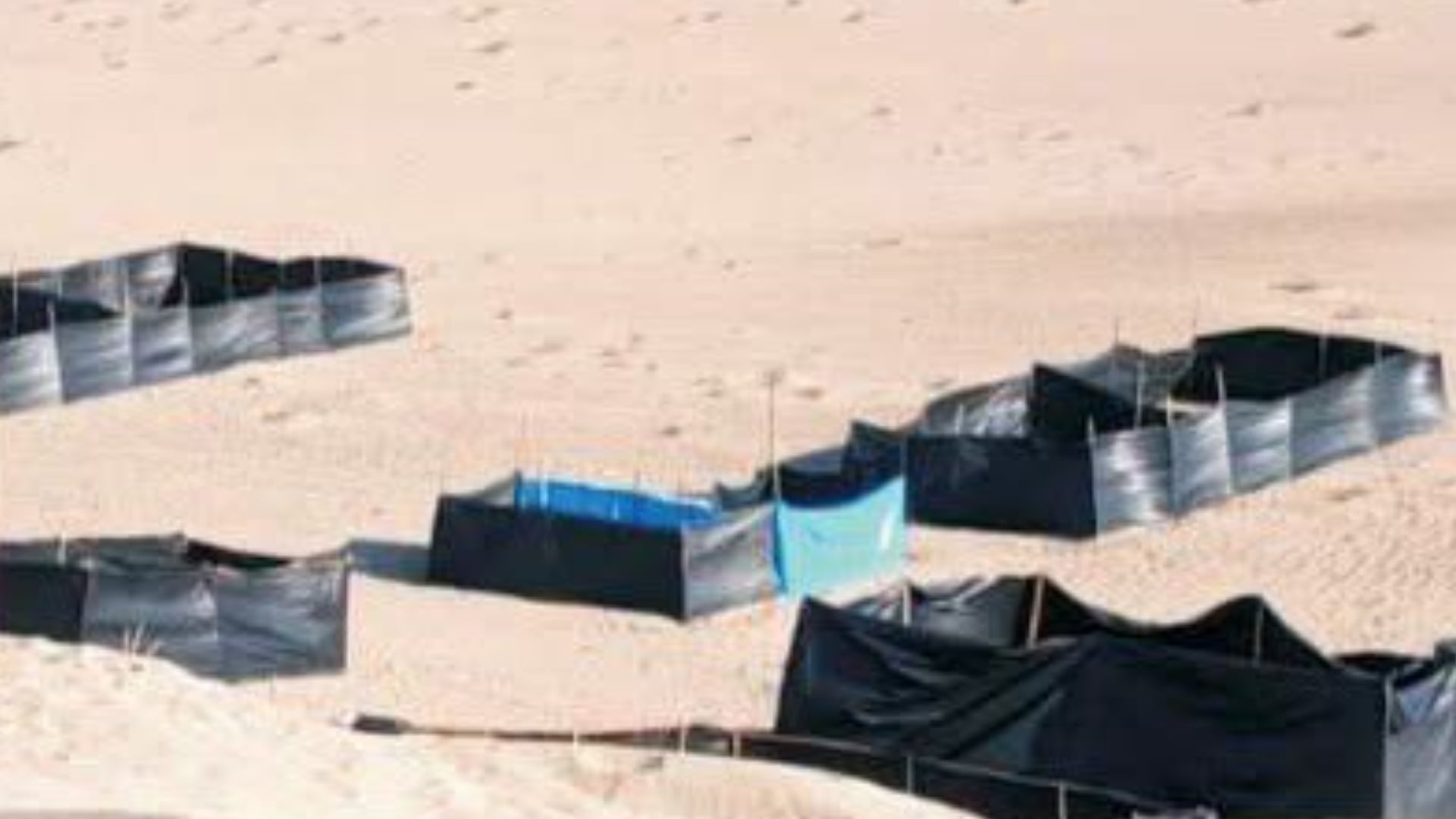 El acceso habría ocurrido por Tierra Prometida, lo que les permitió llegar a la zona sin ser vistos desde el malecón. Captura de video