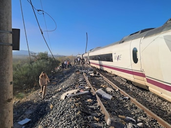 Accidente entre un Iryio y un AVE de Renfe en Los Yébenes (Redes Sociales)