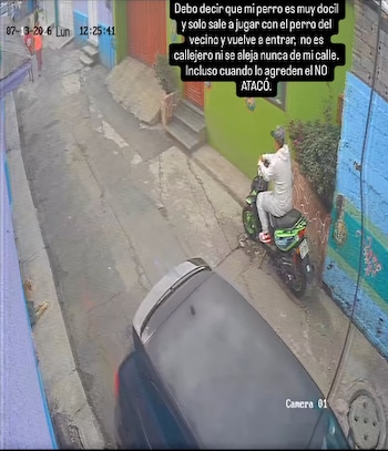 (Captura de pantalla)