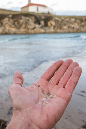 En la imagen del martes,