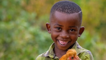 ONG proponen regalos solidarios para