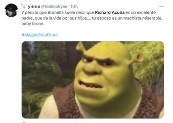 Memes sobre Brunella Horna. Twitter.