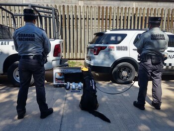 La droga estaba escondida dentro