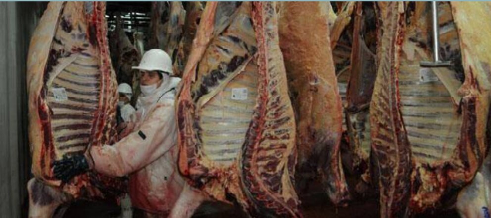 carne