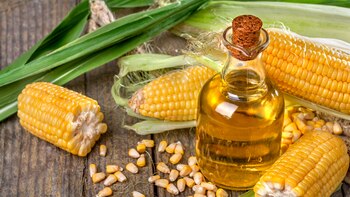 Cuatro cocineros proponen la mejor