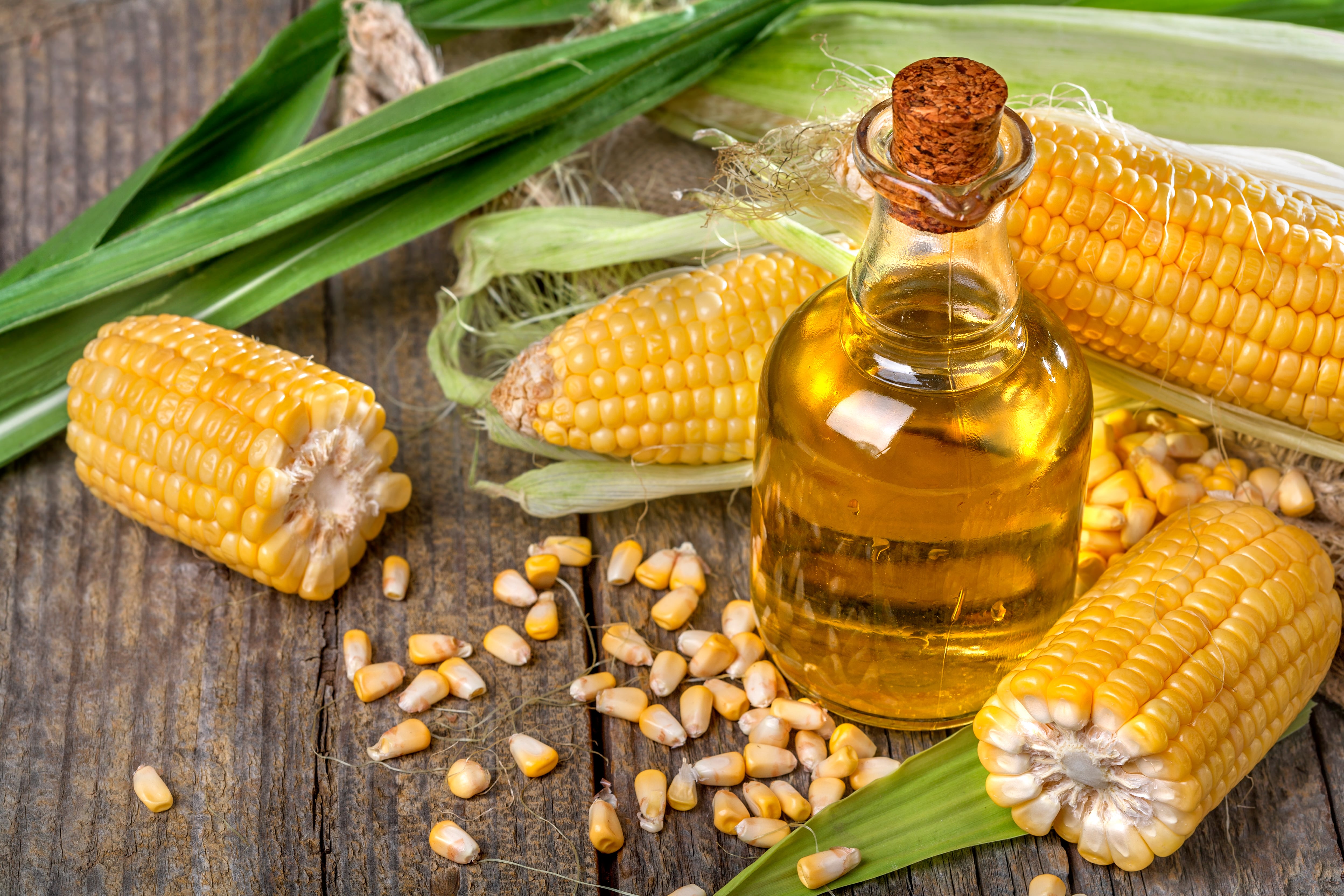 El aceite de maíz es el único que mantuvo su precio estable./ (AdobeStock)