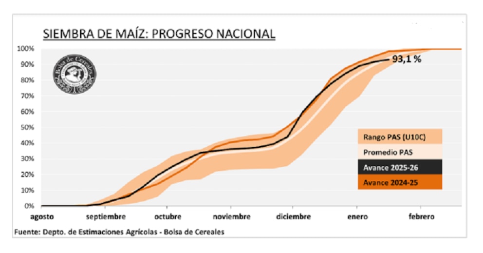 Contrastes hídricos ponen a prueba el tramo clave de la campaña gruesa