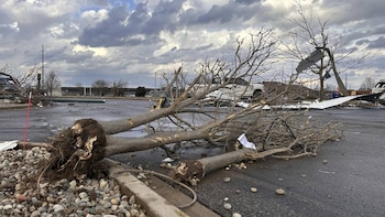 Seis muertos, decenas de heridos
