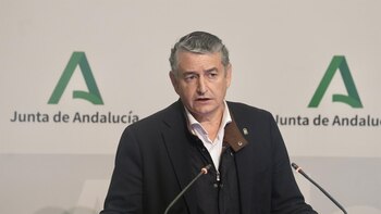 Sanz entiende que el archivo