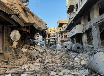 Una vista muestra un sitio