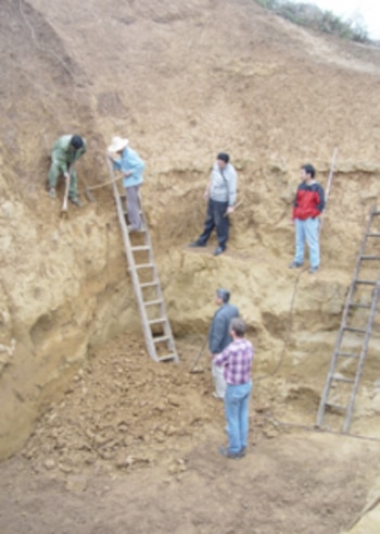 Sitio de excavación de Homo