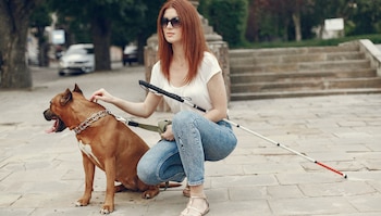 Día Internacional del Perro Guía - Perro Guía – Perú – noticias – 27 abril