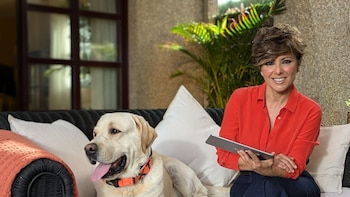 Así es la inspiradora casa de Sonsoles Ónega en una exclusiva zona de Madrid: un chalet de 250 metros cuadrados y una enorme biblioteca