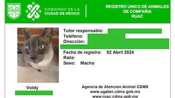 Así luce un Registro Único